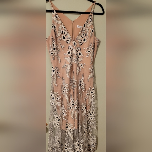 Dress The Population Midi Lace Dress - Picture 3 of 6